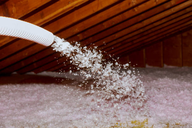 Best Insulation for Specific Applications in St David, AZ