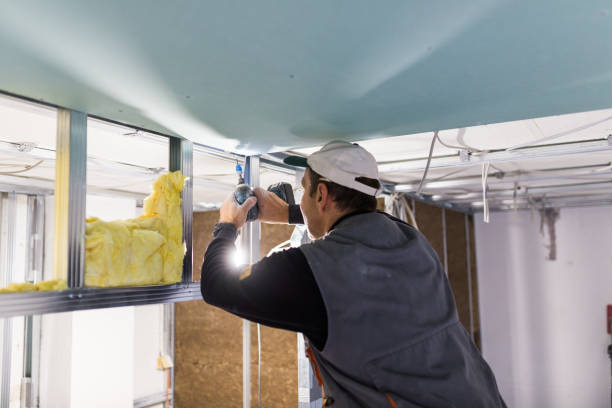 Best Insulation Maintenance and Repair in St David, AZ