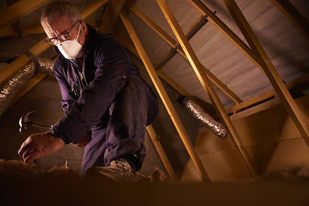 Best Insulation for Specific Applications in St David, AZ